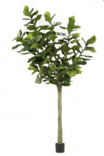Ficus lyrata kunstboom 300cm
